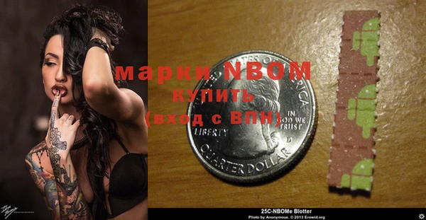 соль ск Слюдянка