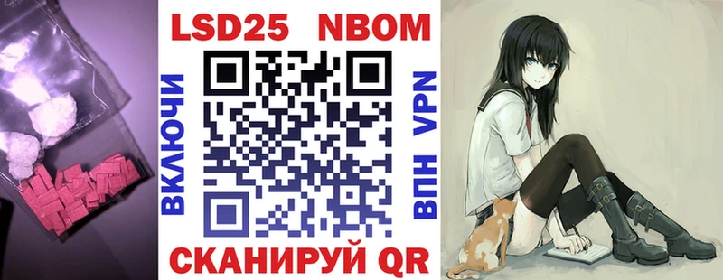 Купить закладки  Щучье  Лсд 25 экстази кислота 